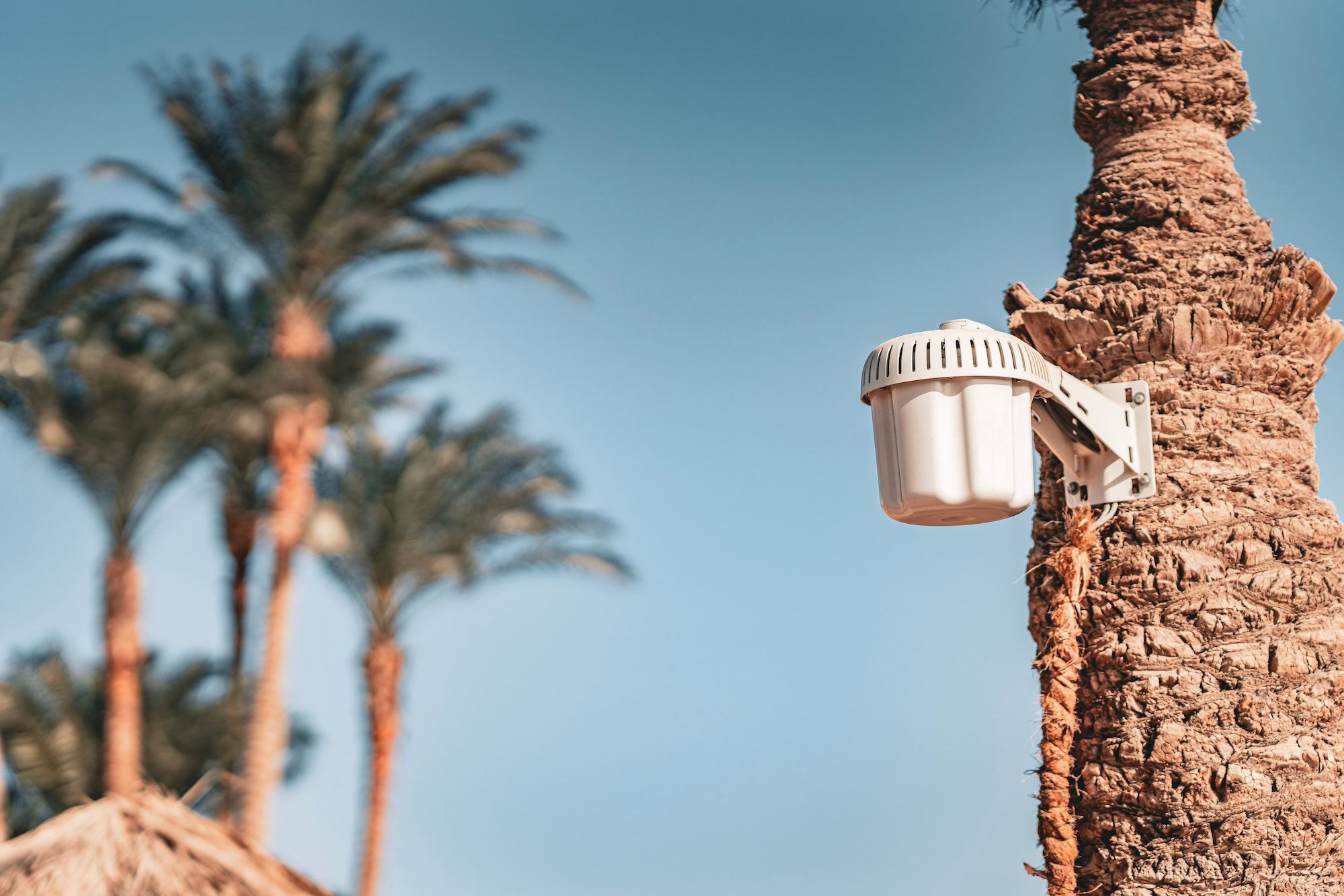 Accesso a internet in Egitto: Guida per restare connessi