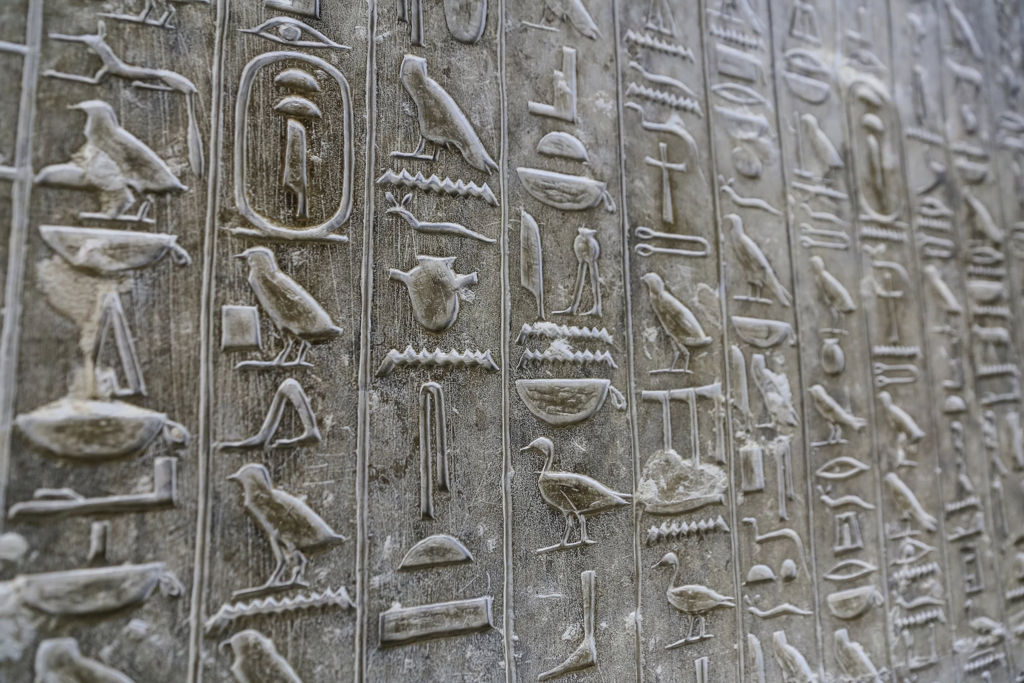 Ancient Egyptian hieroglyphics featuring birds and religious symbols on stone wall