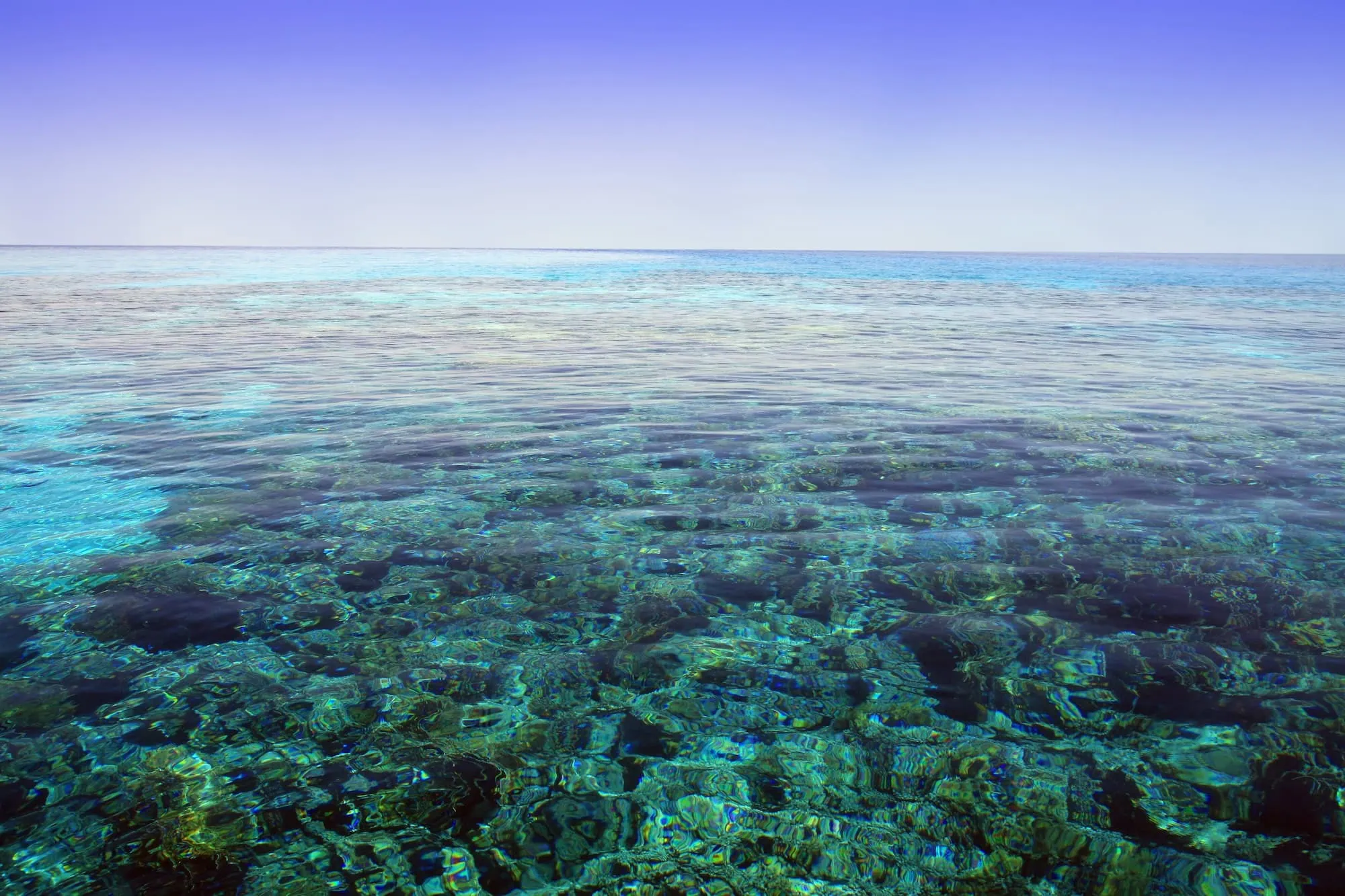 Underwater view of vibrant coral reef formations in clear blue-green Red Sea water