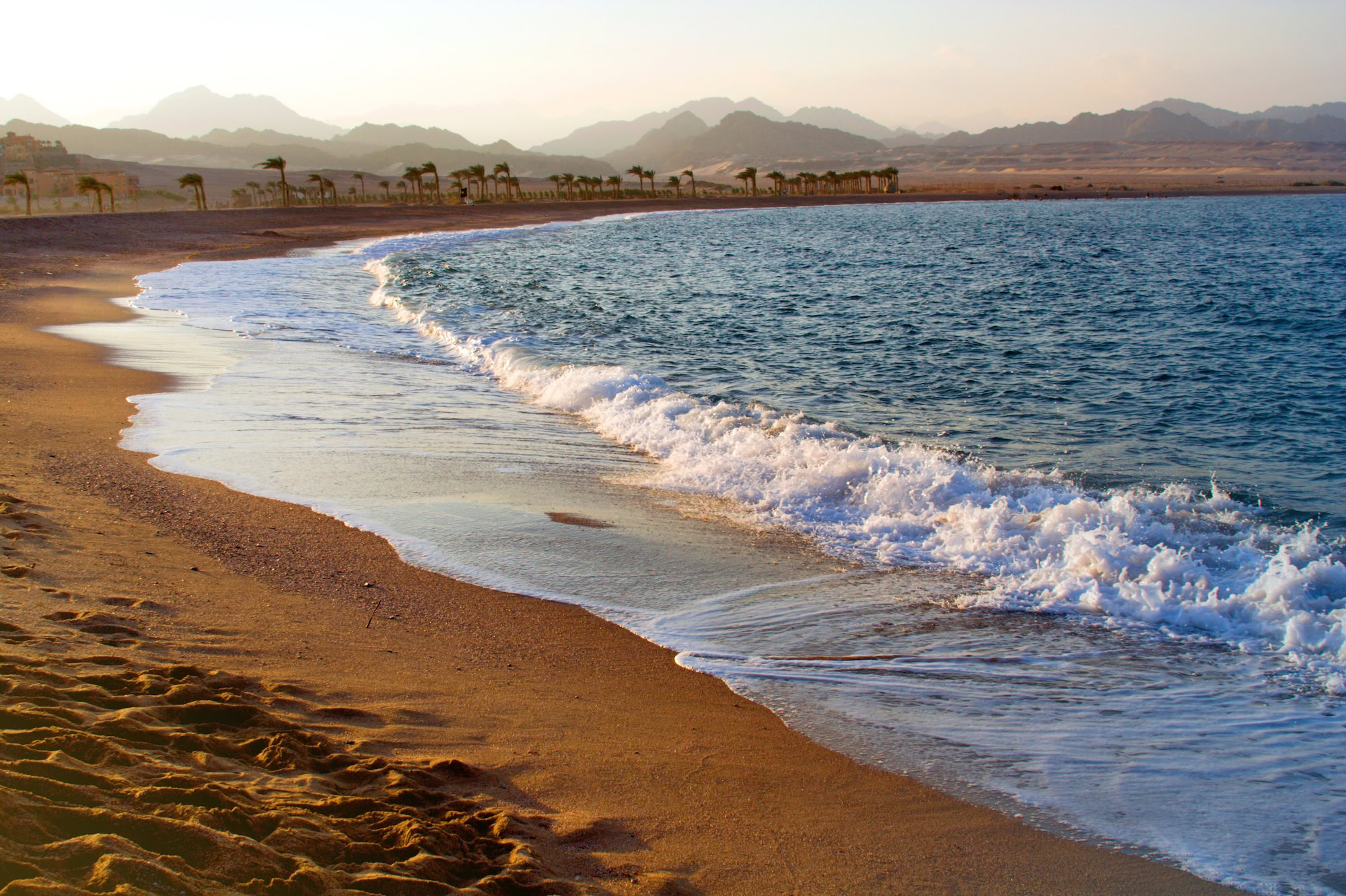 Red Sea coastline with palm trees, golden beaches, and desert mountains