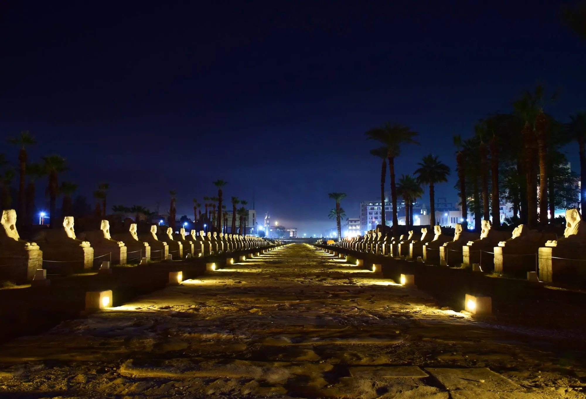 Avenue of Sphinxes illuminated at night with dramatic lighting effects