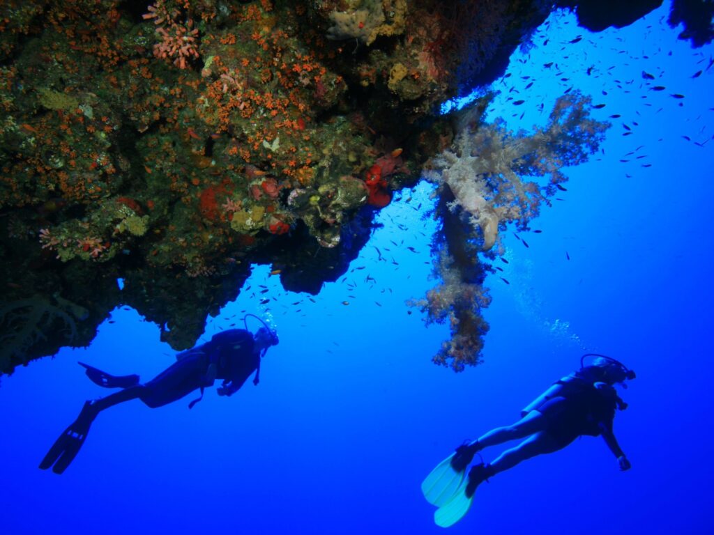 Two divers swimming above a colorful coral reef in clear blue water