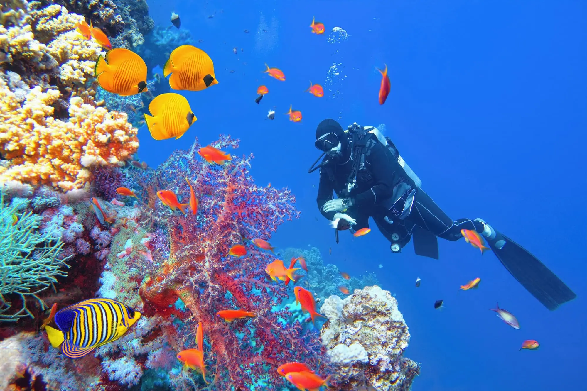 Enjoying Hurghada Diving Holidays