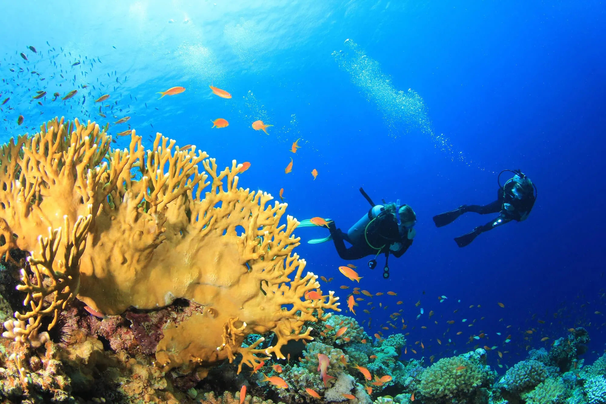 Sharm El Sheikh Diving Holidays
