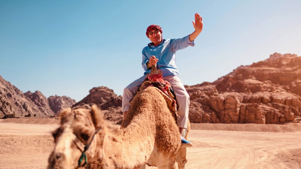 Camel riding in desert by Sinai mountains