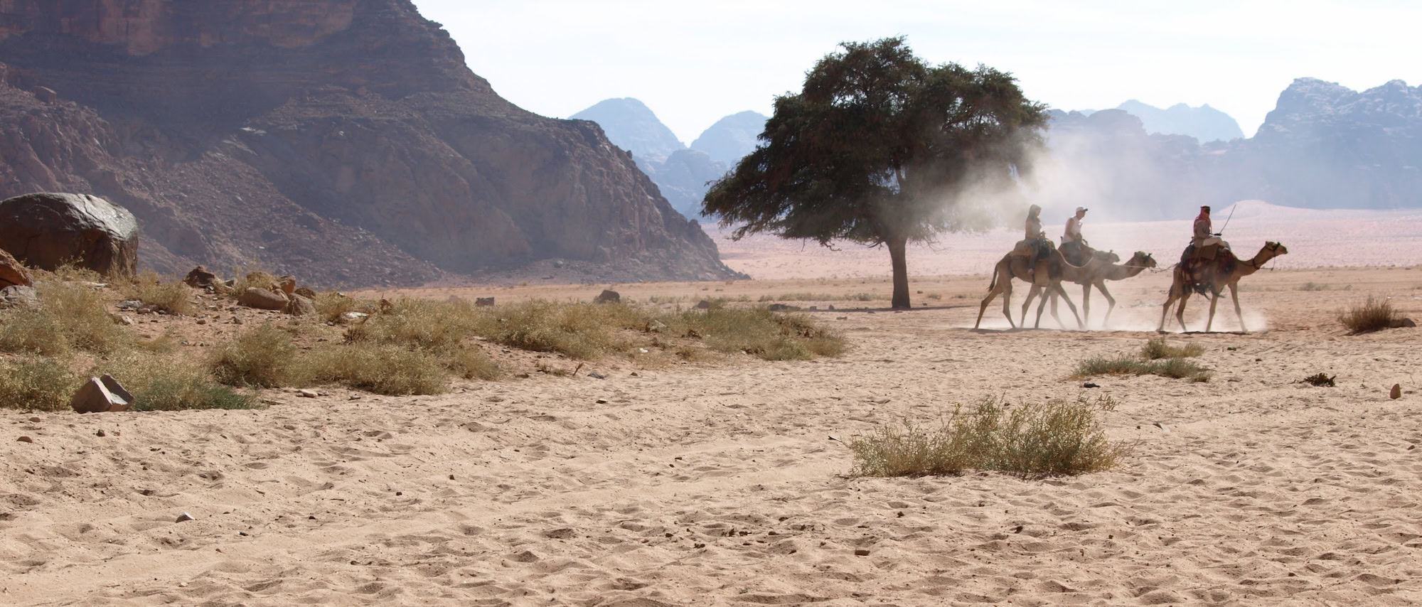 Camel riders traversing the majestic Wadi Rum desert in Jordan