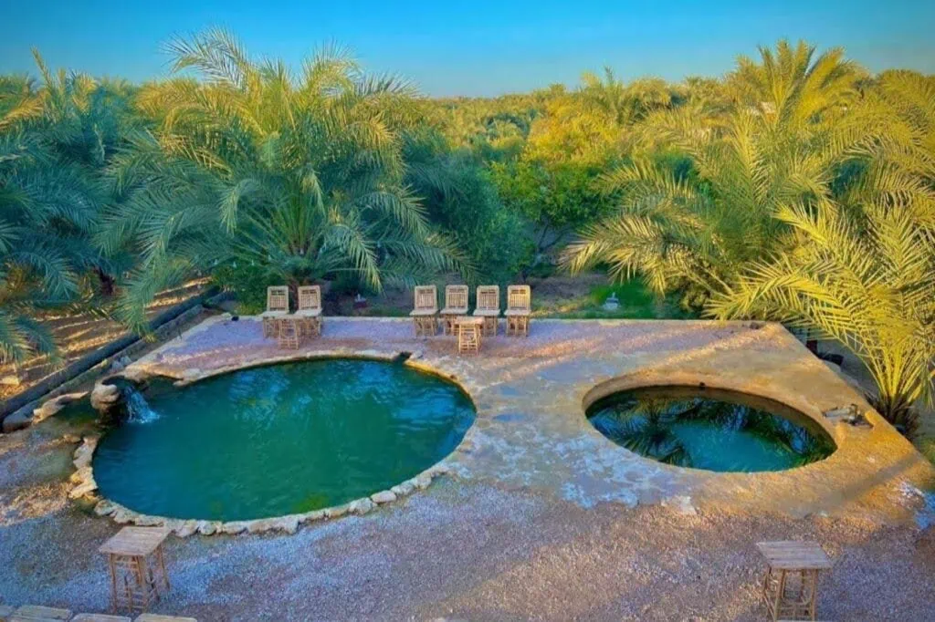 The Roman Spring natural pool surrounded by palms in Siwa Oasis