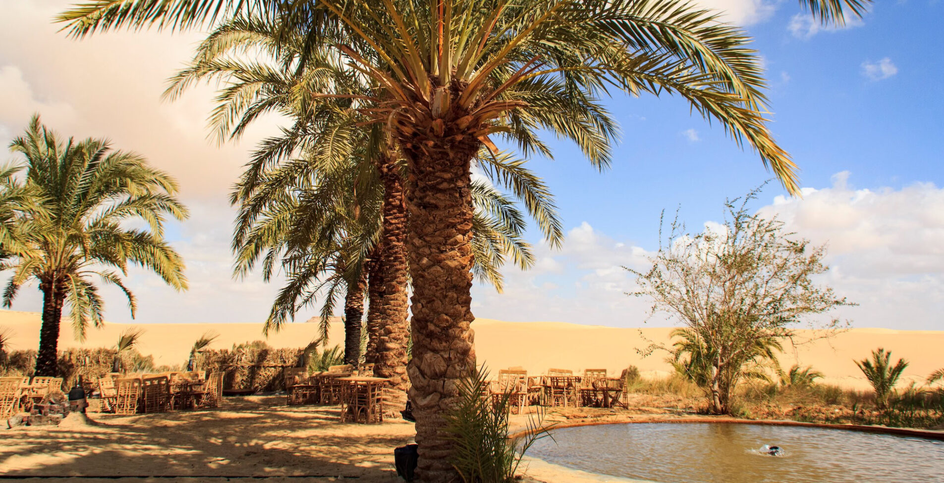 Siwa Oasis Egypt Tourism Travel 1905x976 crop 50 93