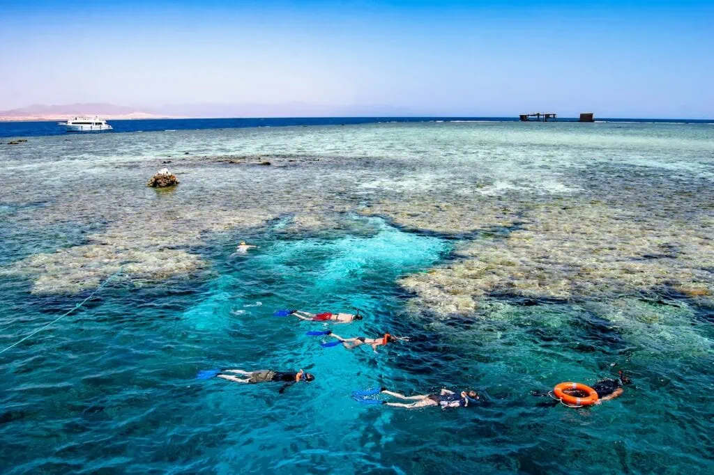 Snorkellers swimming above coral formations with reef fish in clear water at Jackson Reef, Sharm el Sheikh