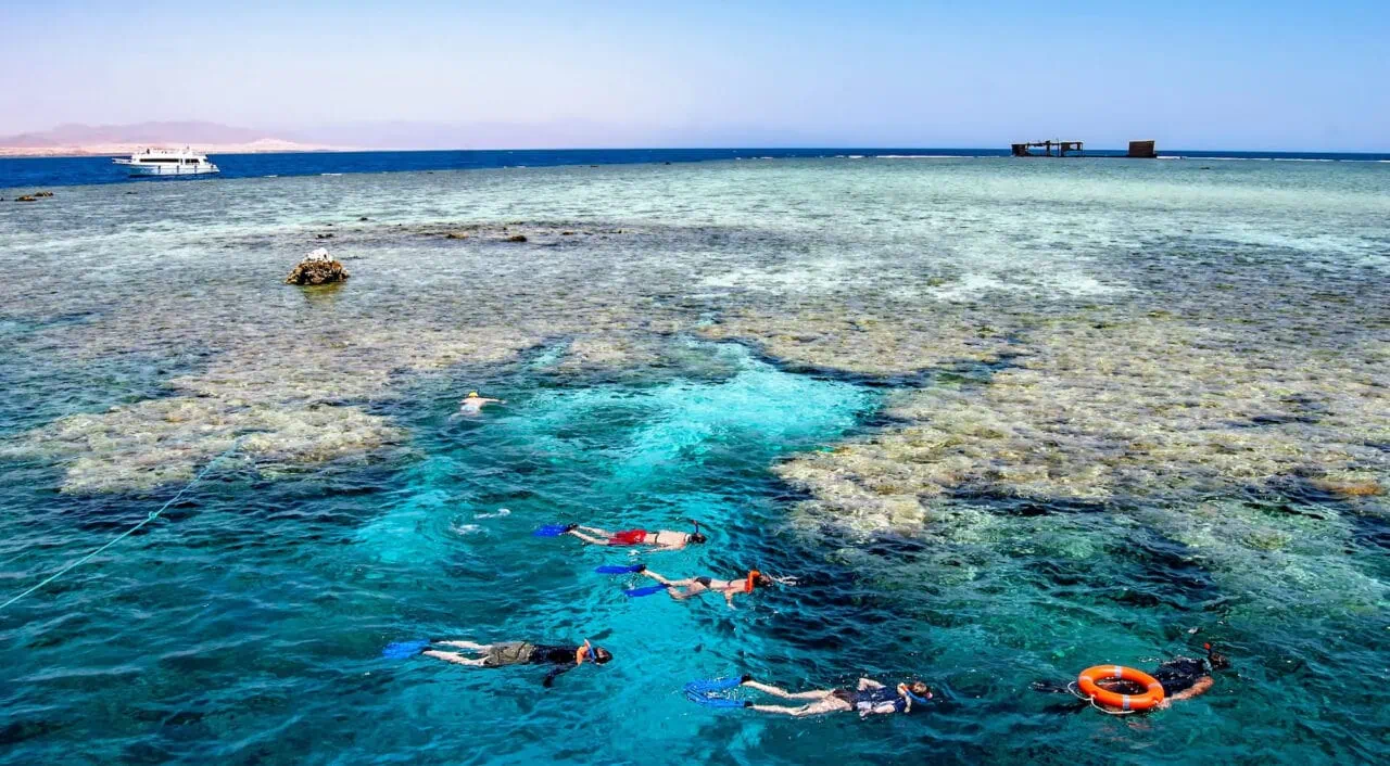 Snorkellers On Jackson Reef In The Straits Of Tiran Near