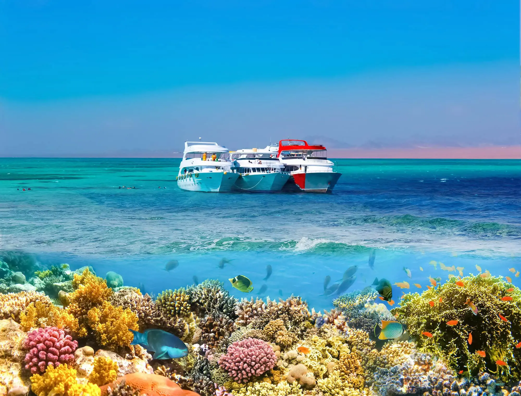 Red Sea in Egypt: Why Travelers Fall in Love With the Coast