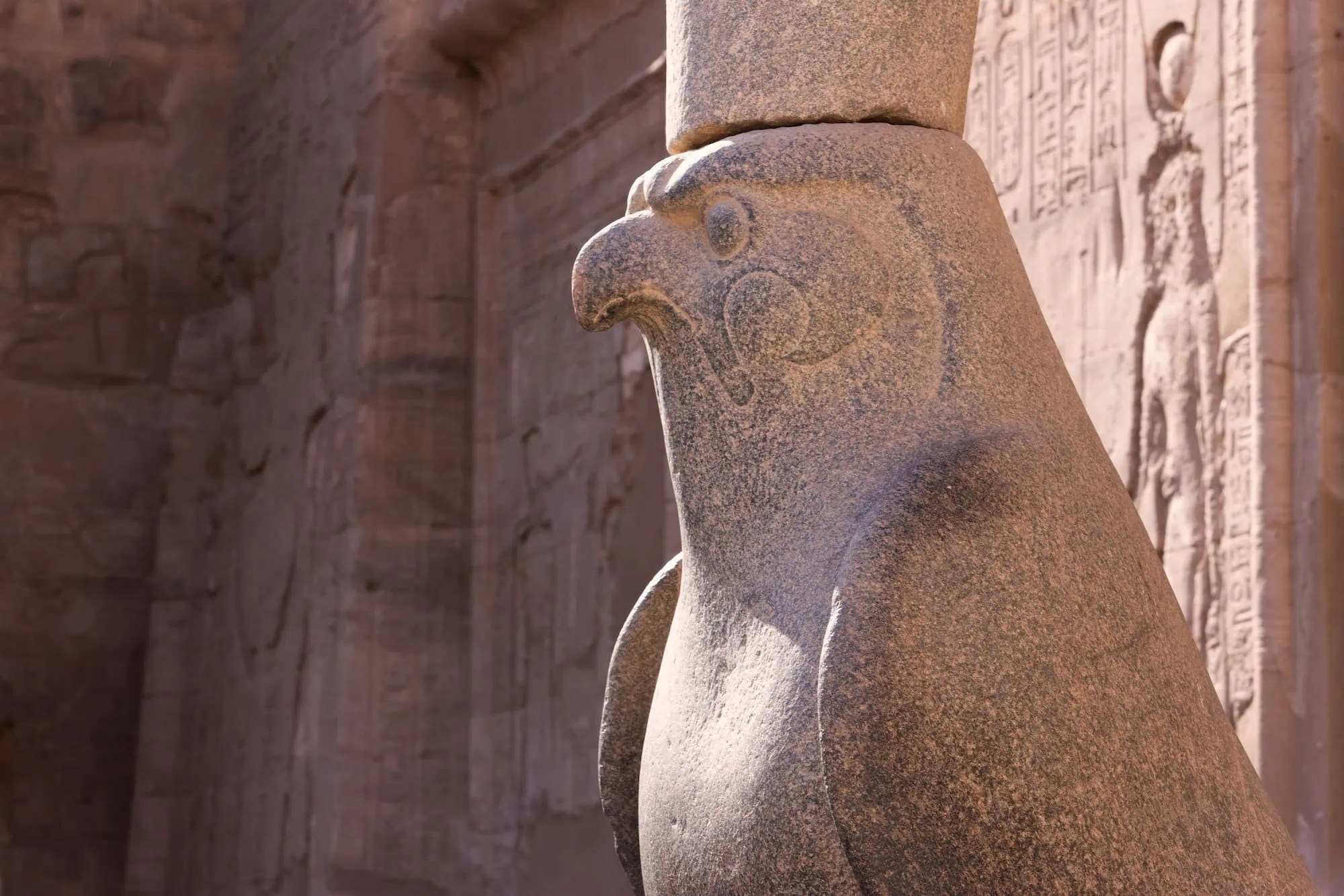 Ancient falcon statue and hieroglyphics at Kom Ombo Temple, Egypt