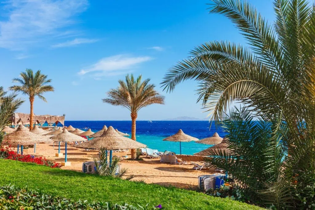 Resort beach on the Red Sea coast with palm trees and bright sunlight, Sharm El Sheikh