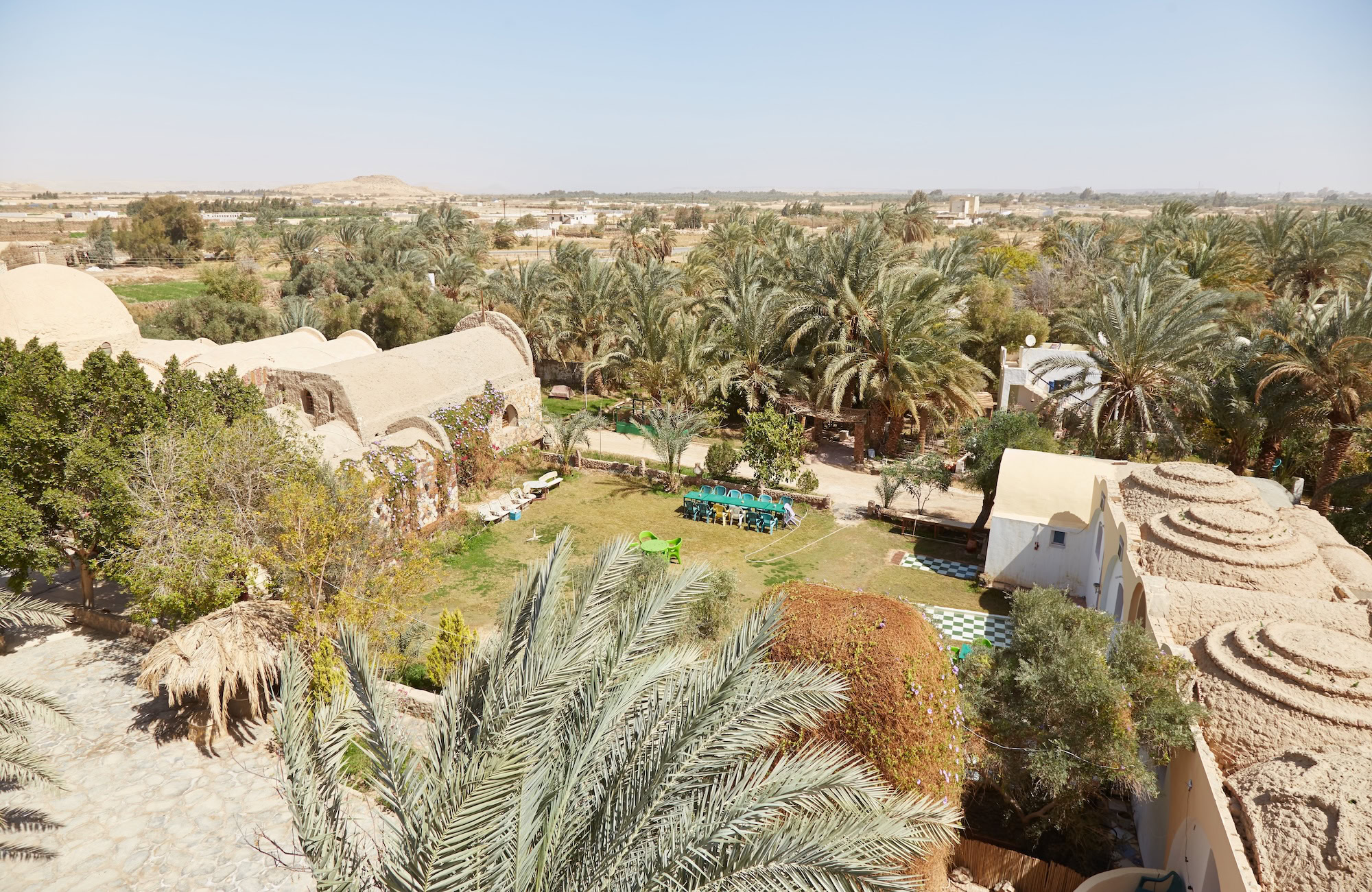 Arquitectura tradicional de adobe en el oasis de Siwa con palmeras datileras