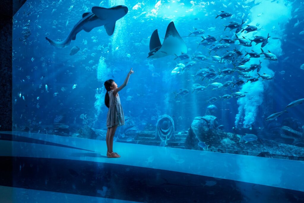 The Lost Chambers Aquarium Dubai – Atlantis-themed underwater world with tunnels, marine life exhibits, and immersive aquatic experiences at Atlantis The Palm