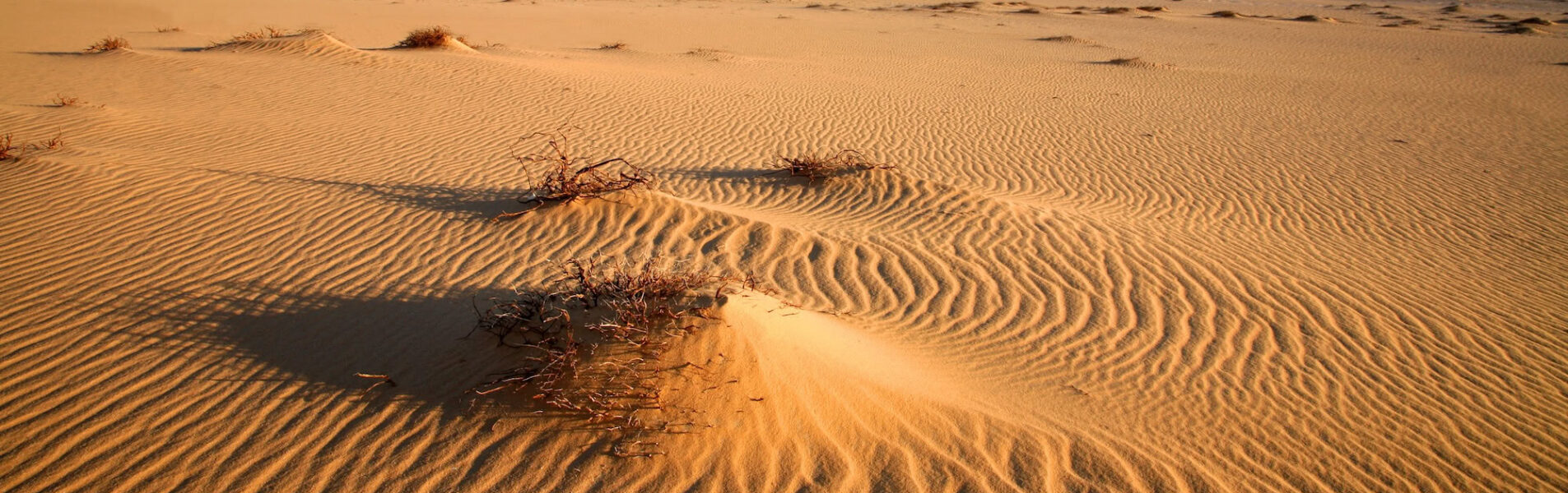 Western Desert, Egypt