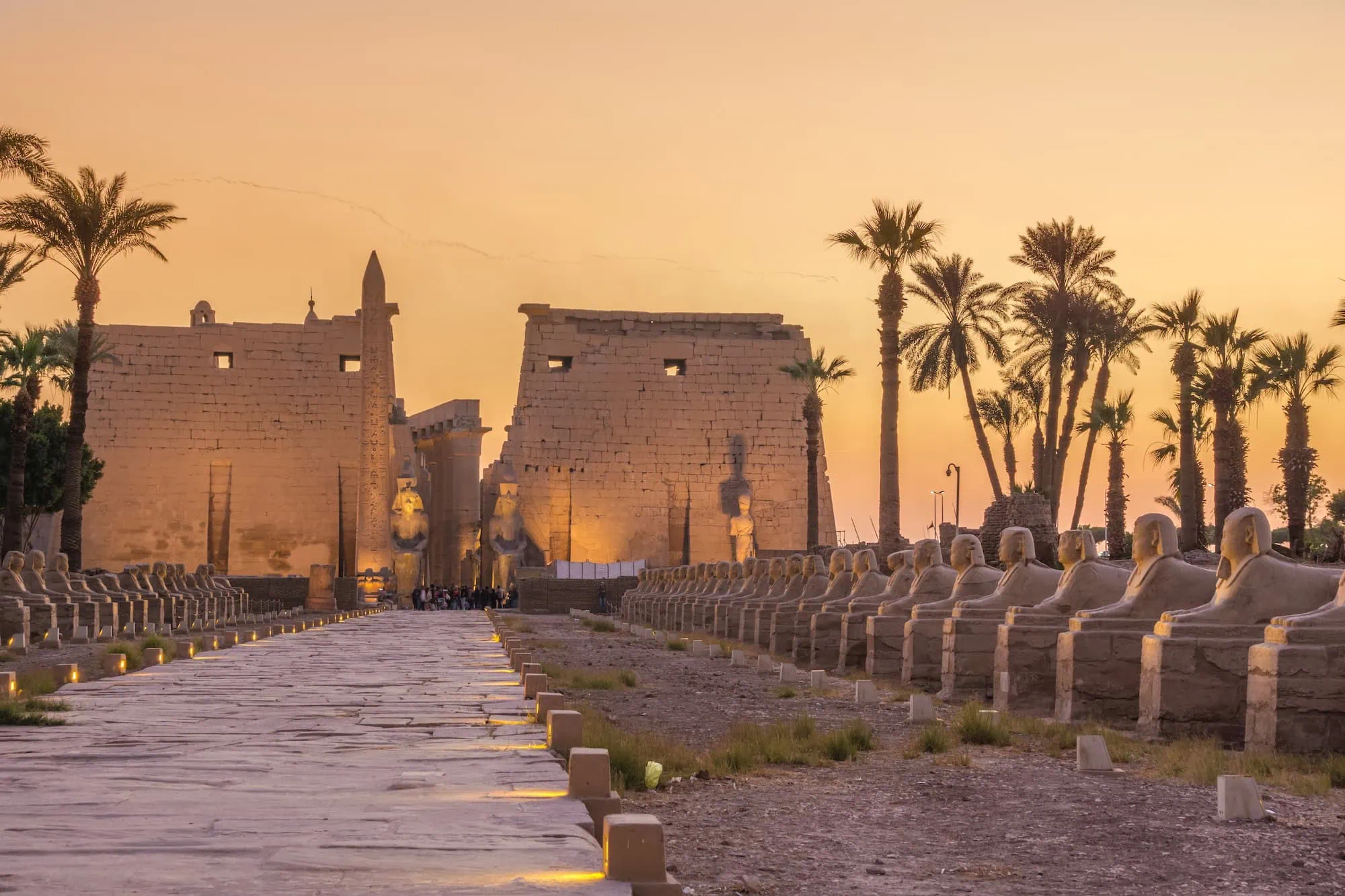 Ancient Egyptian temple with massive stone columns and sphinx statues lining a ceremonial pathway