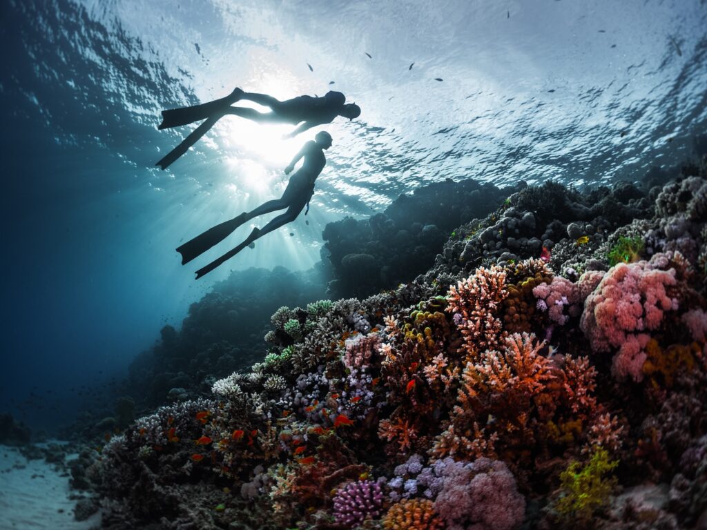 Two freedivers swimming underwater over vivid coral reef. Red Sea Egypt