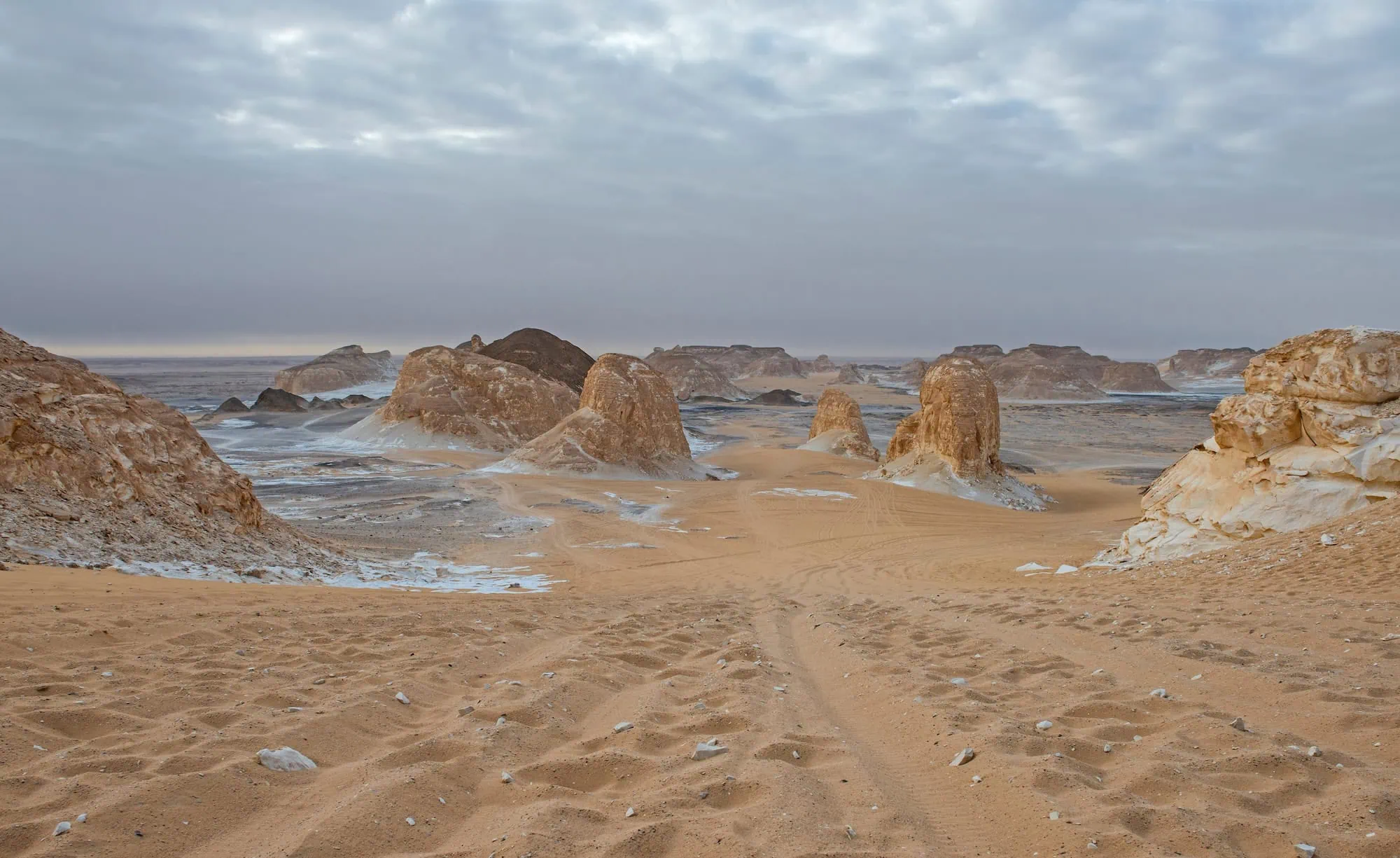 Wind-carved white limestone formations in Egypt's White Desert National Park