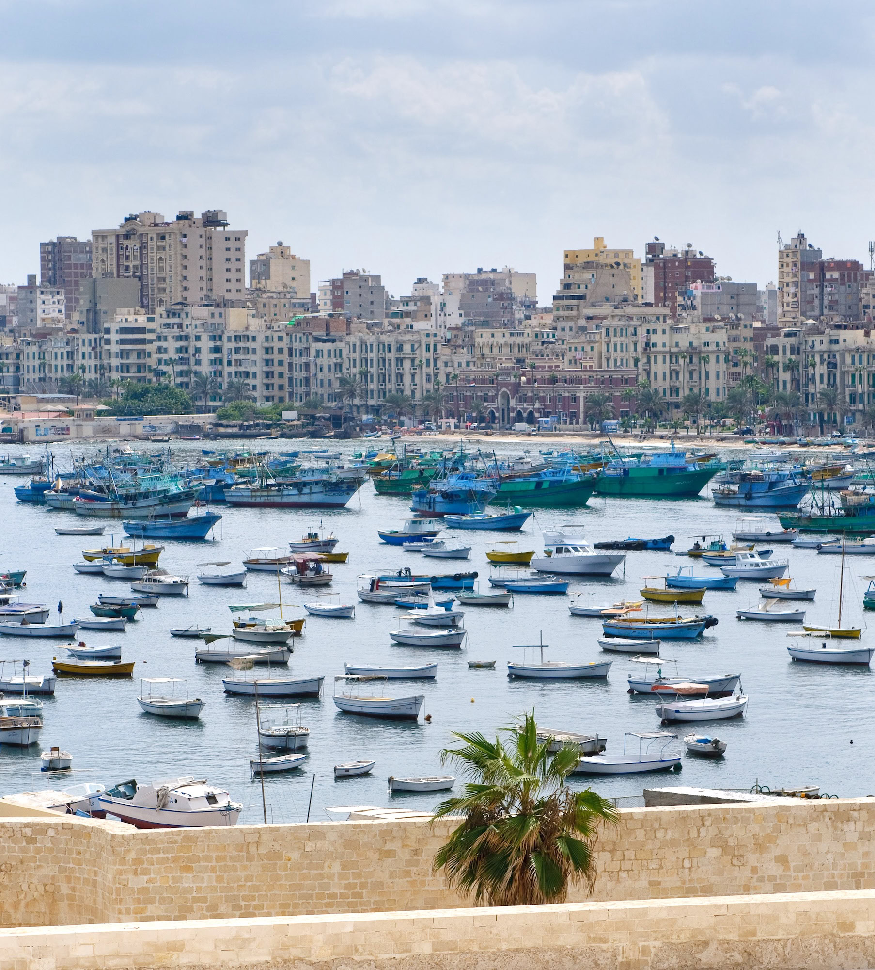 Alexandria harbor with fishing boats, waterfront buildings, and palm trees