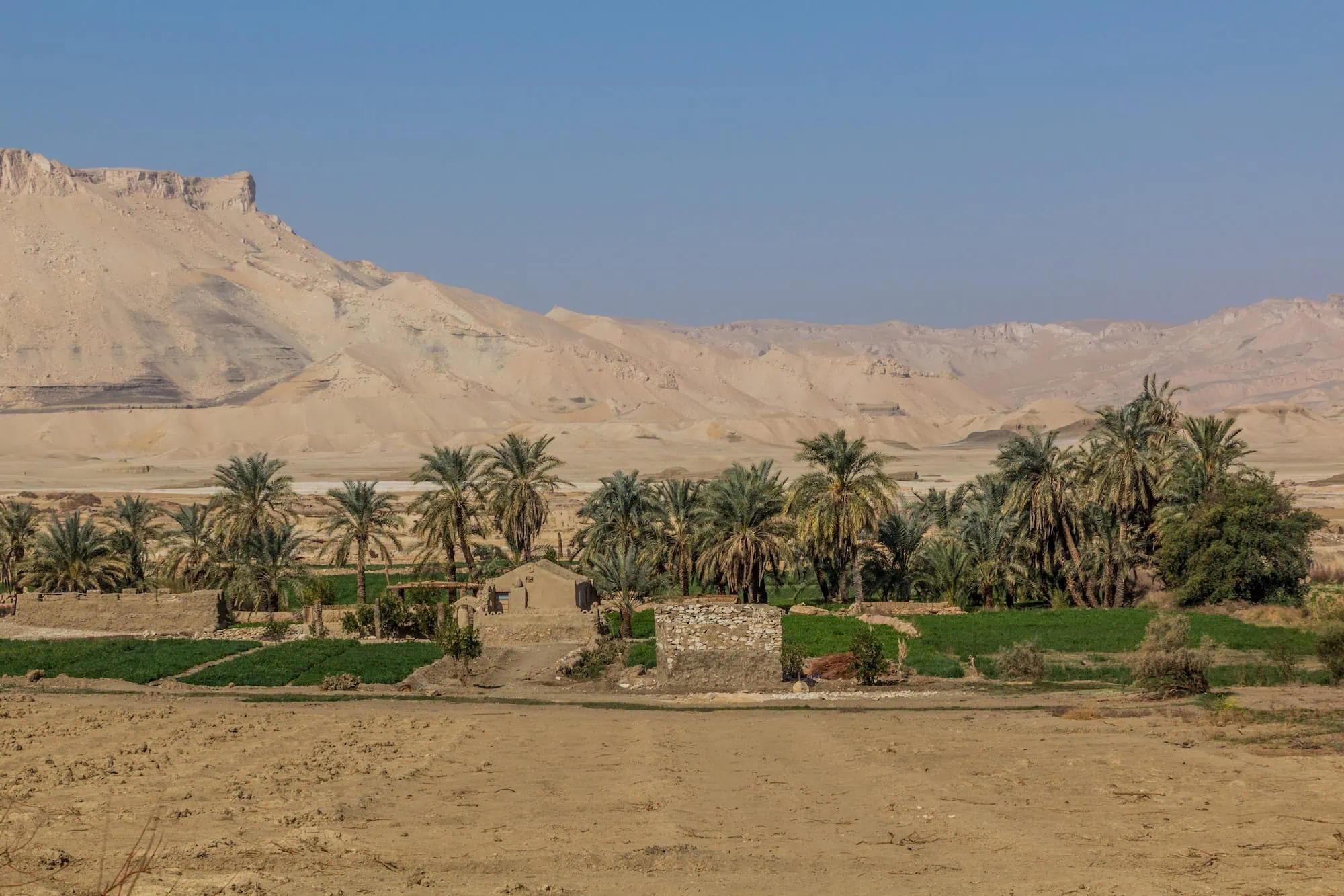 Desert oasis with palm trees and traditional buildings against rocky cliffs in Sinai Peninsula, Egypt