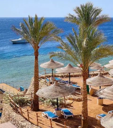 Red Sea