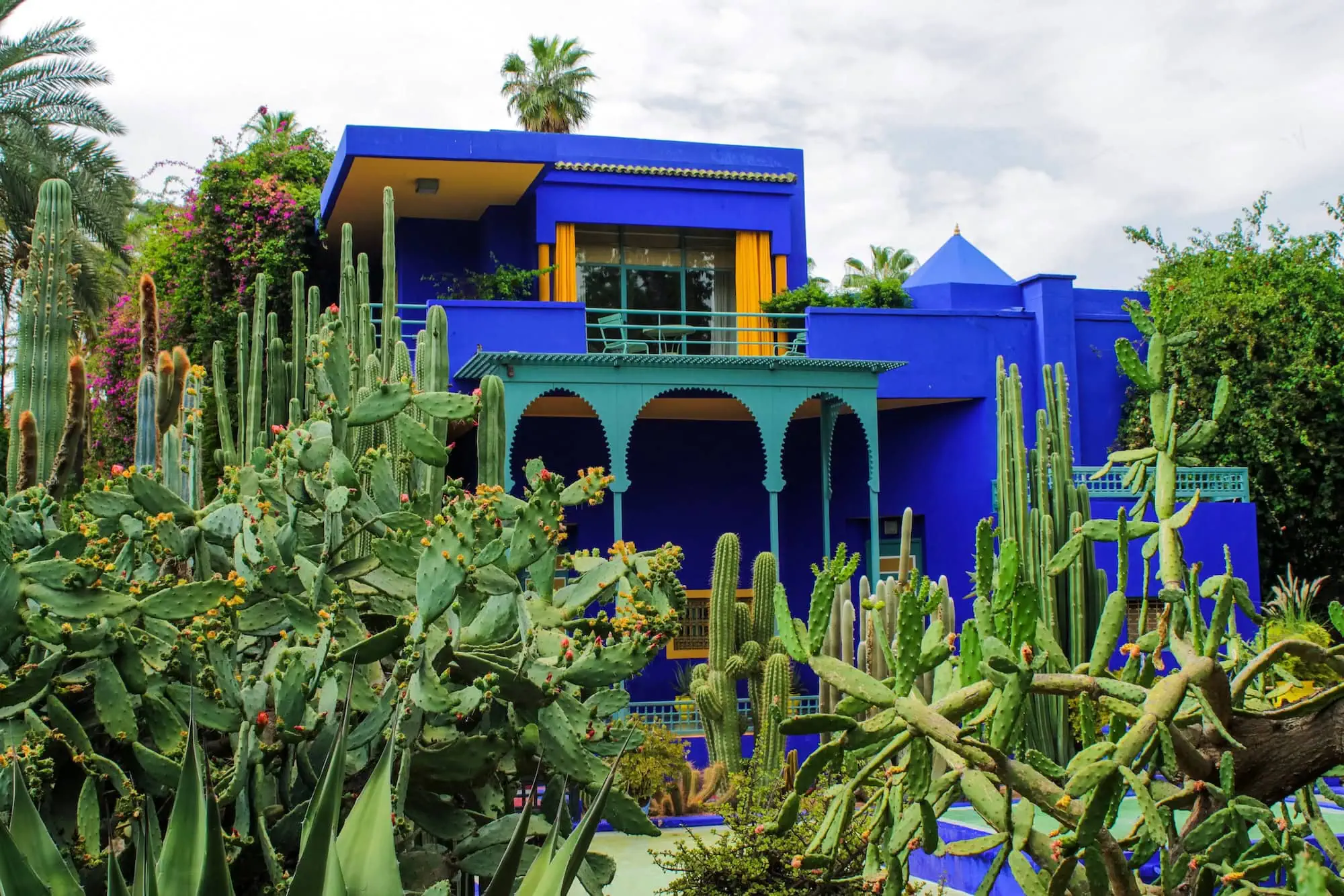 Vibrant blue Moroccan villa with exotic garden featuring cacti, succulents and tropical plants