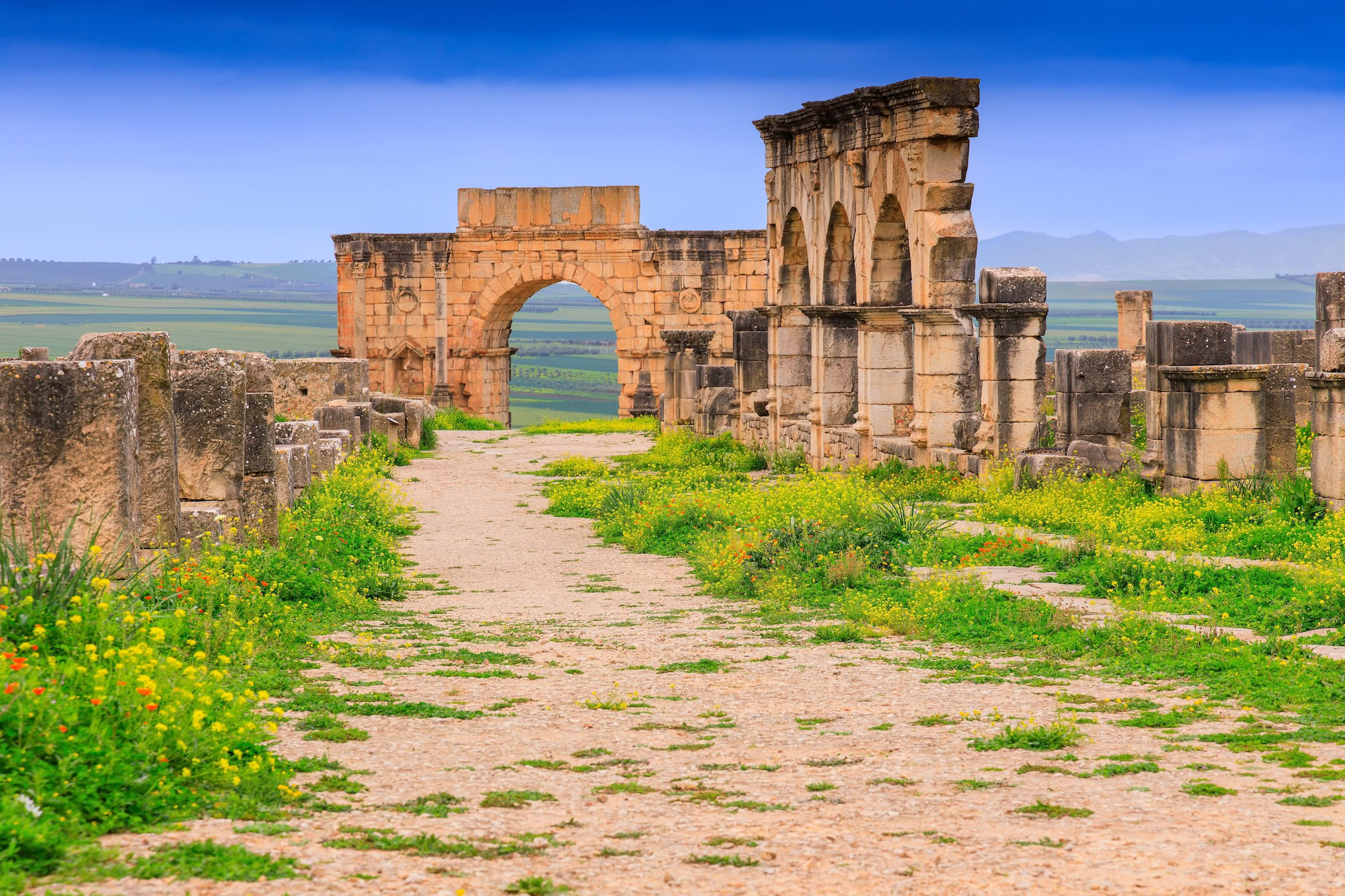 Ancient Roman ruins at Volubilis with stone columns and arches overlooking Moroccan countryside