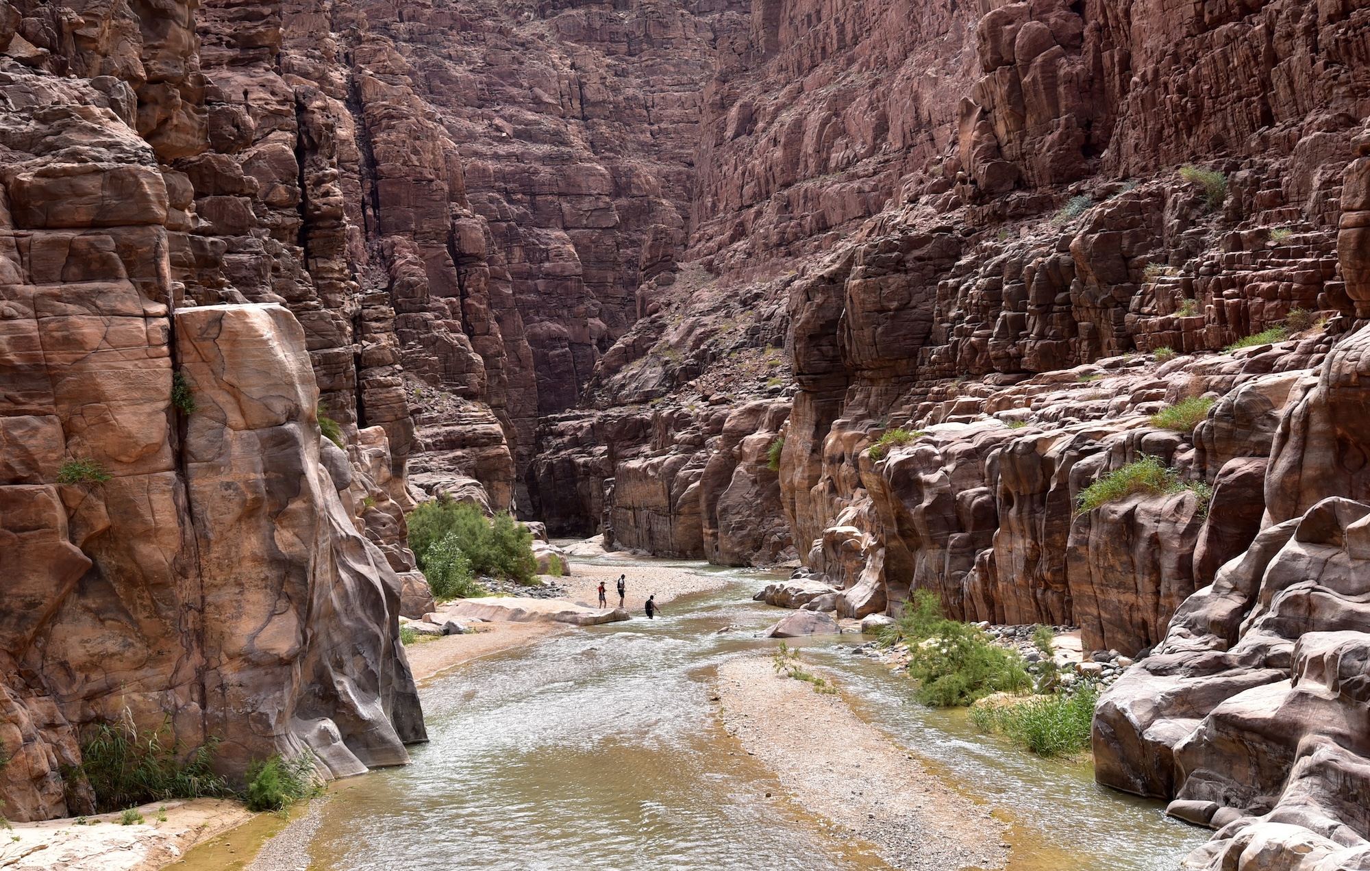 Dramatic rocky canyon with reddish-brown cliffs and stream flowing through Wadi Mujib Reserve, Jordan