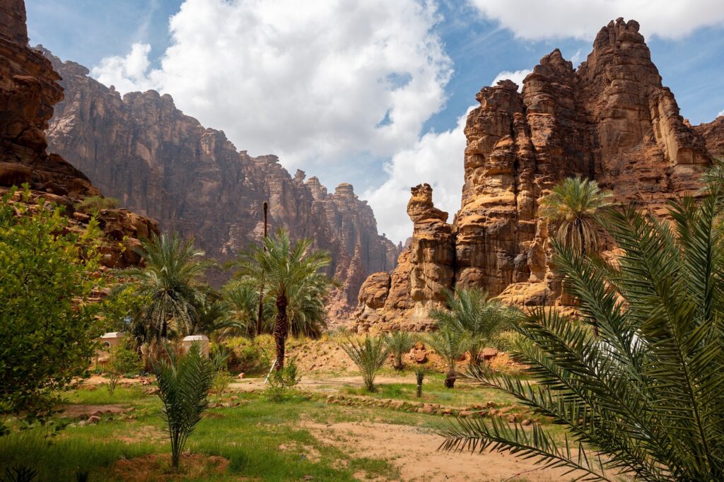 Sandstone cliffs rising over a lush palm-lined valley in Wadi Al Disah