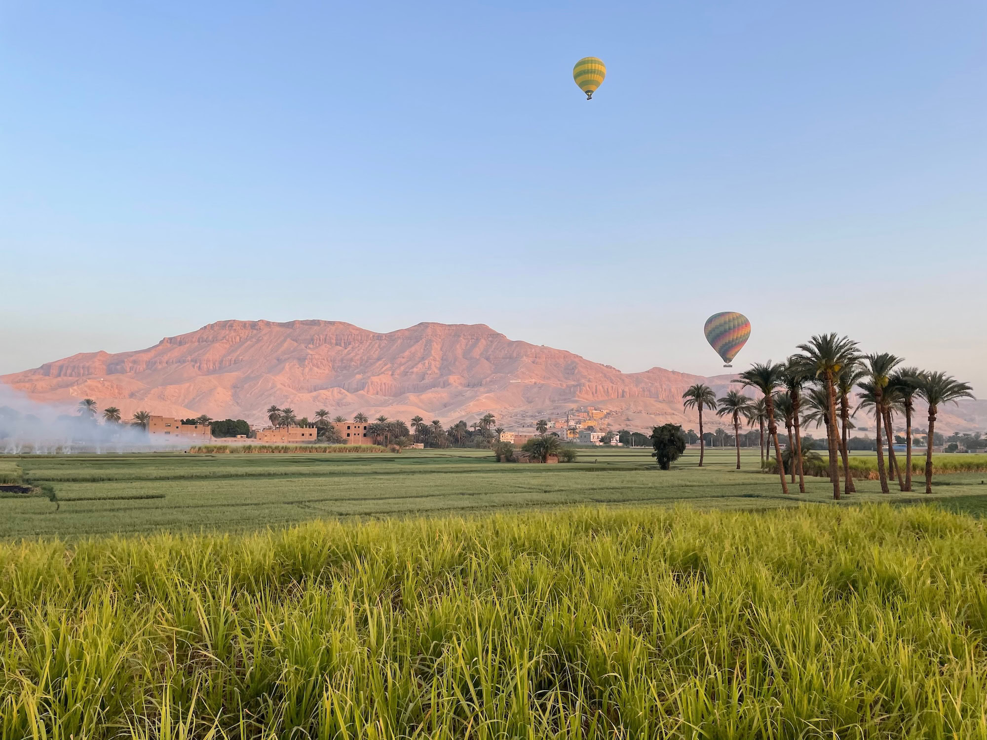 Hot air balloons floating over Luxor's Valley of the Kings with mountains and palm trees