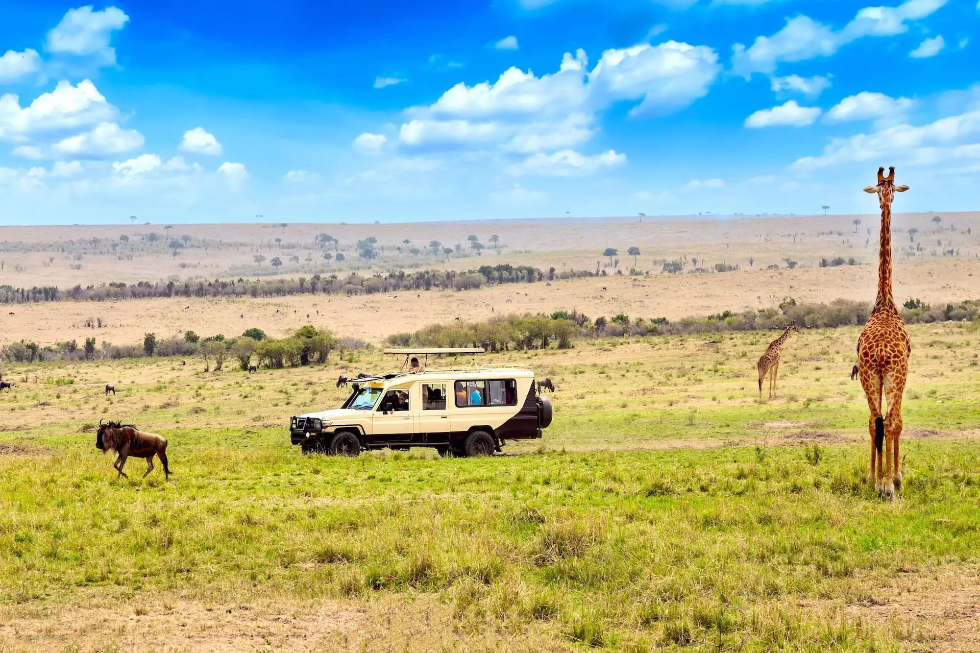 Egypt and Kenya Tours