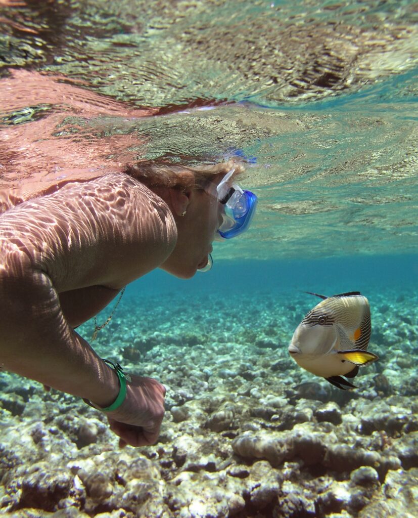 Snorkeling nel Mar Rosso e vacanze all inclusive con immersioni subacquee