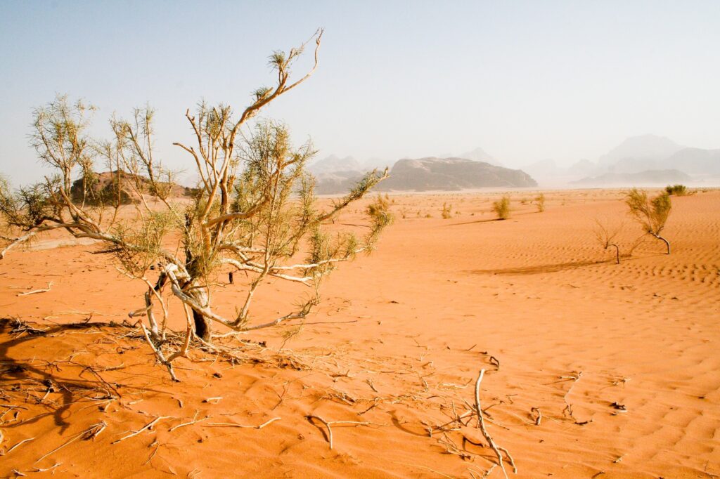 desert in Wadi Rum in Jordan 1