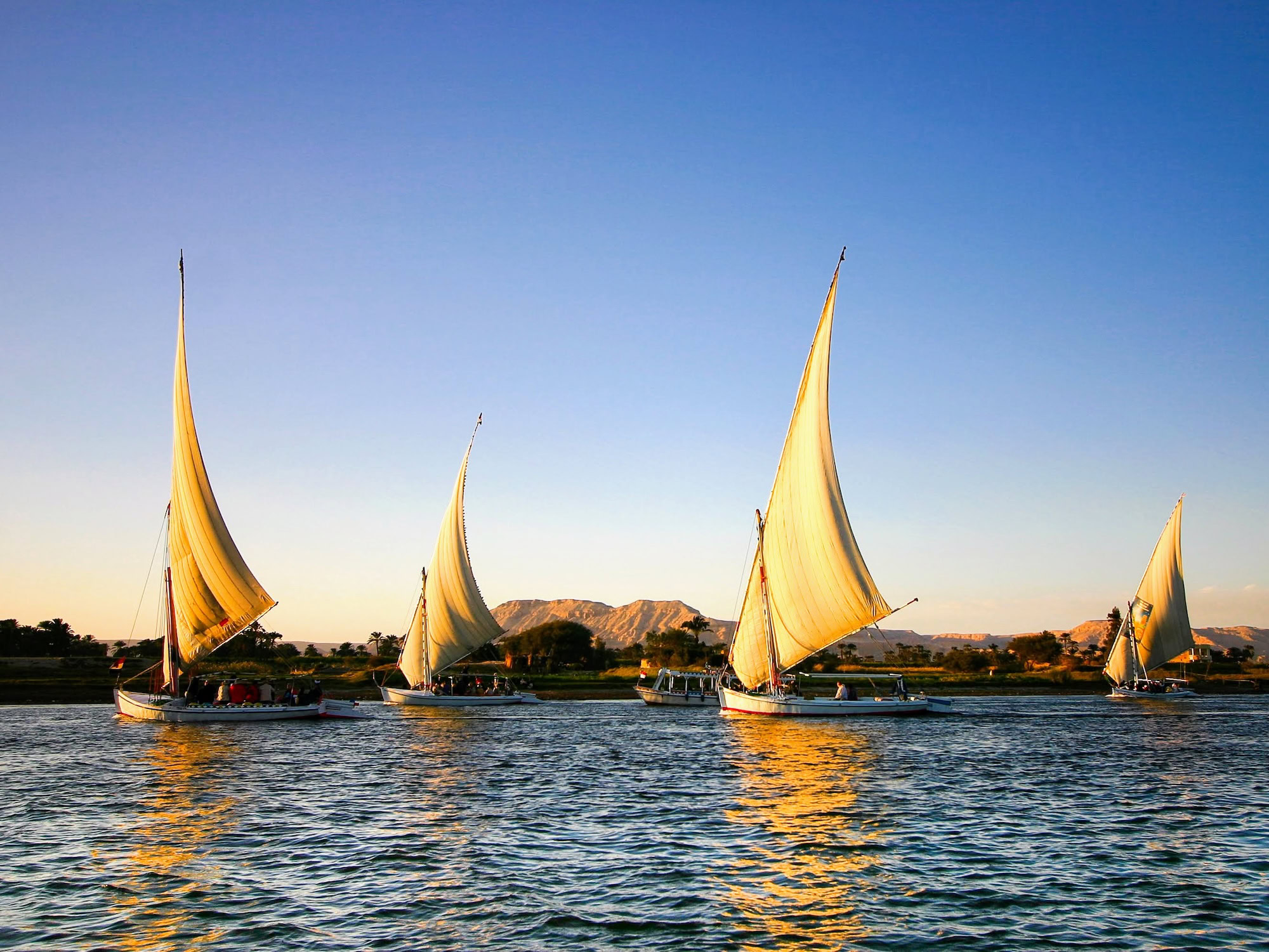 Traditional felucca sailing boats on the Nile River in Egypt