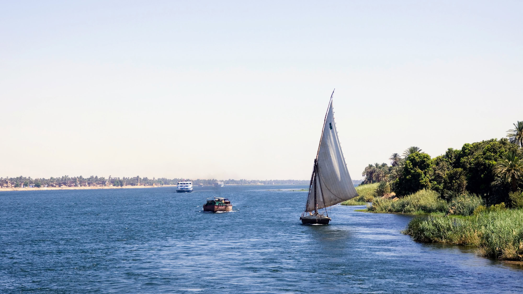 Traditional feluccas and boats on the Nile River with lush palm trees and vegetation along the fertile shoreline