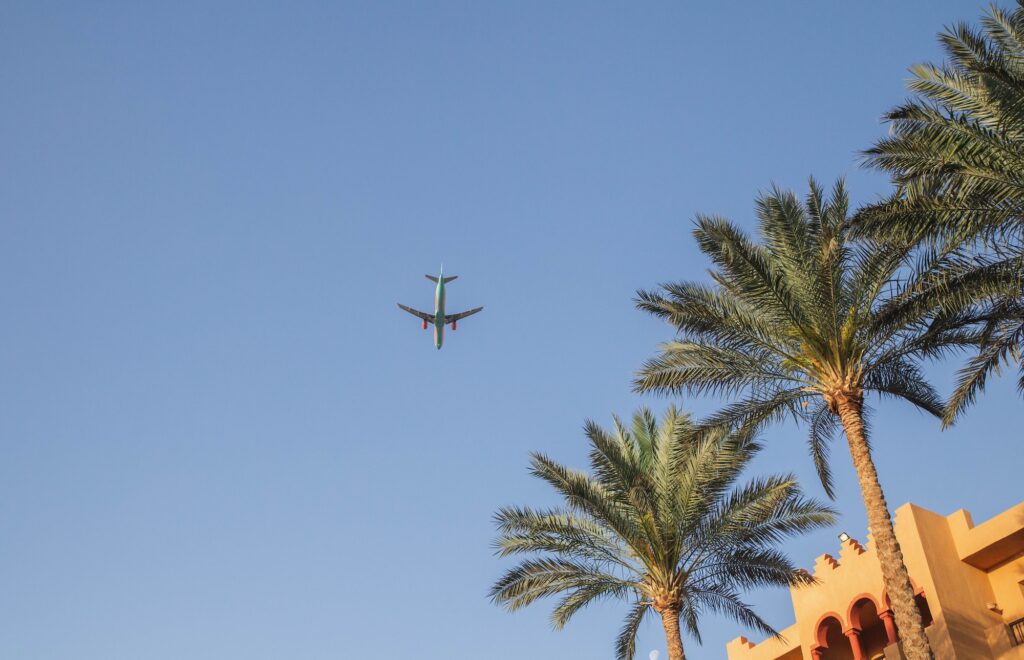 plane in the sky over palm trees in Egypt