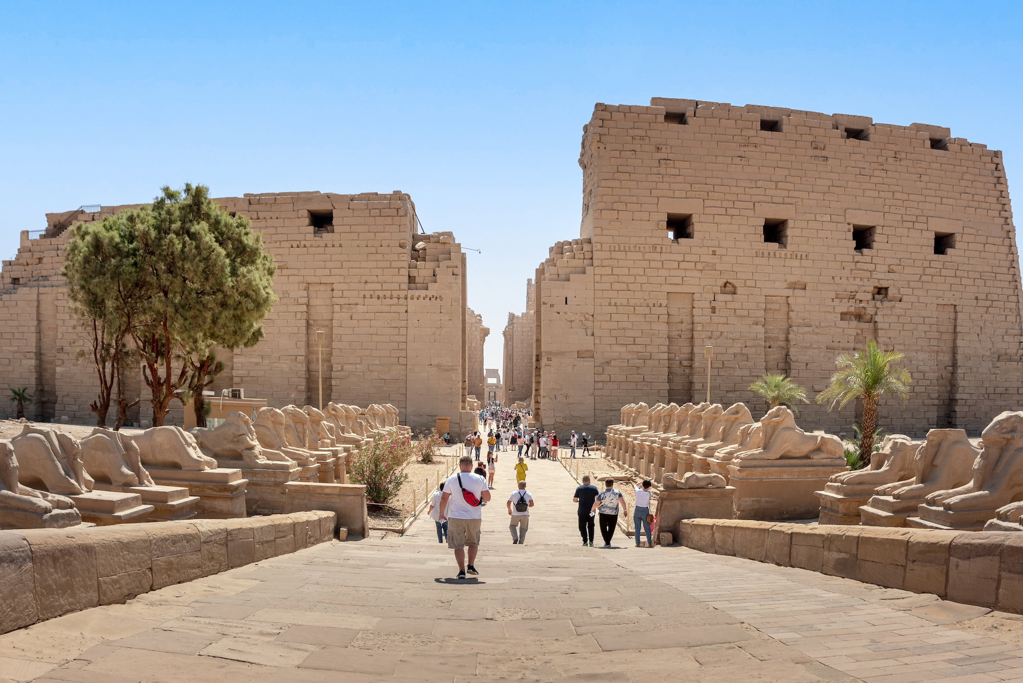 Tourists walking through Karnak Temple Complex with ancient columns and sphinx statues