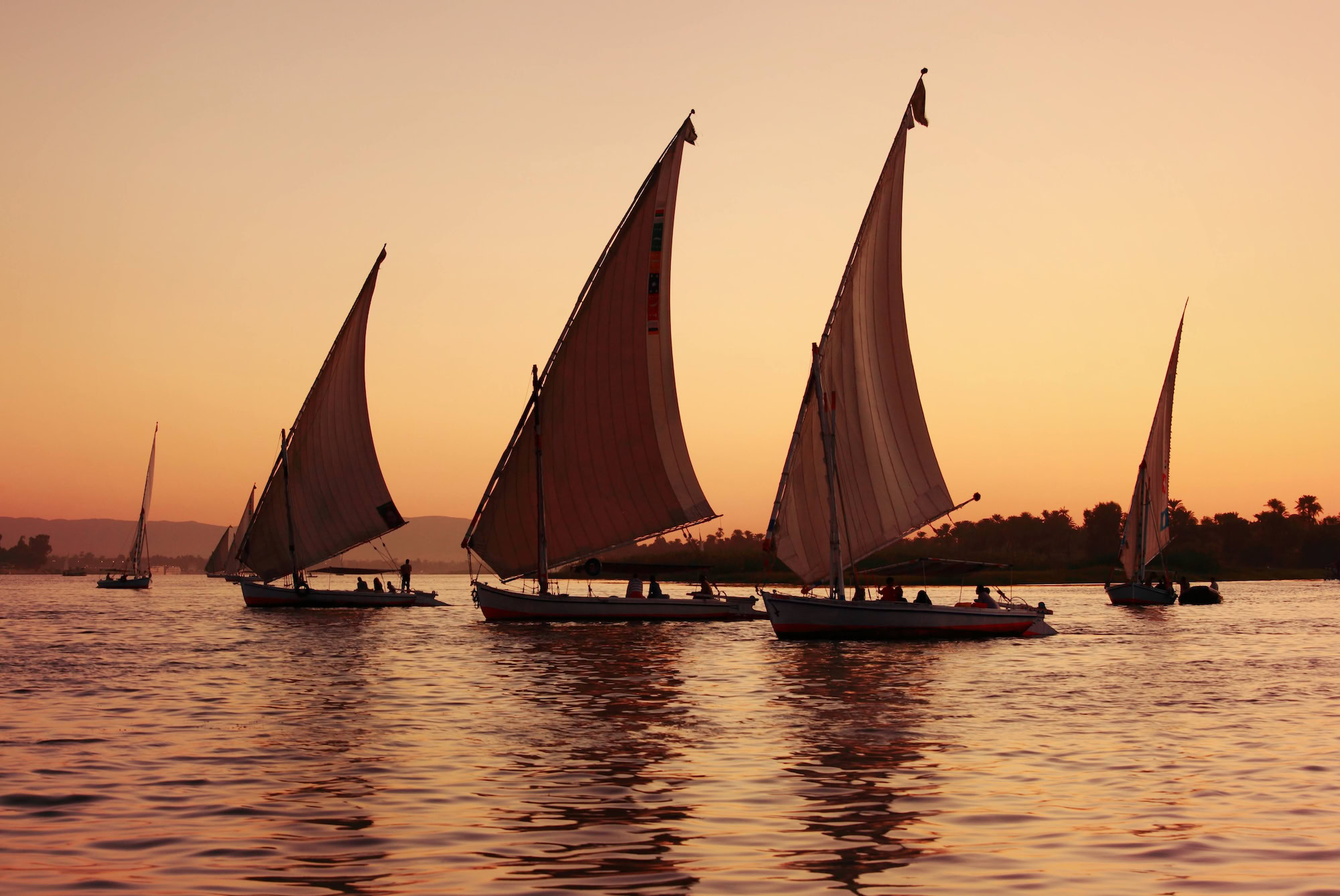 Felucca sailboats silhouetted against golden sunset on the Nile River