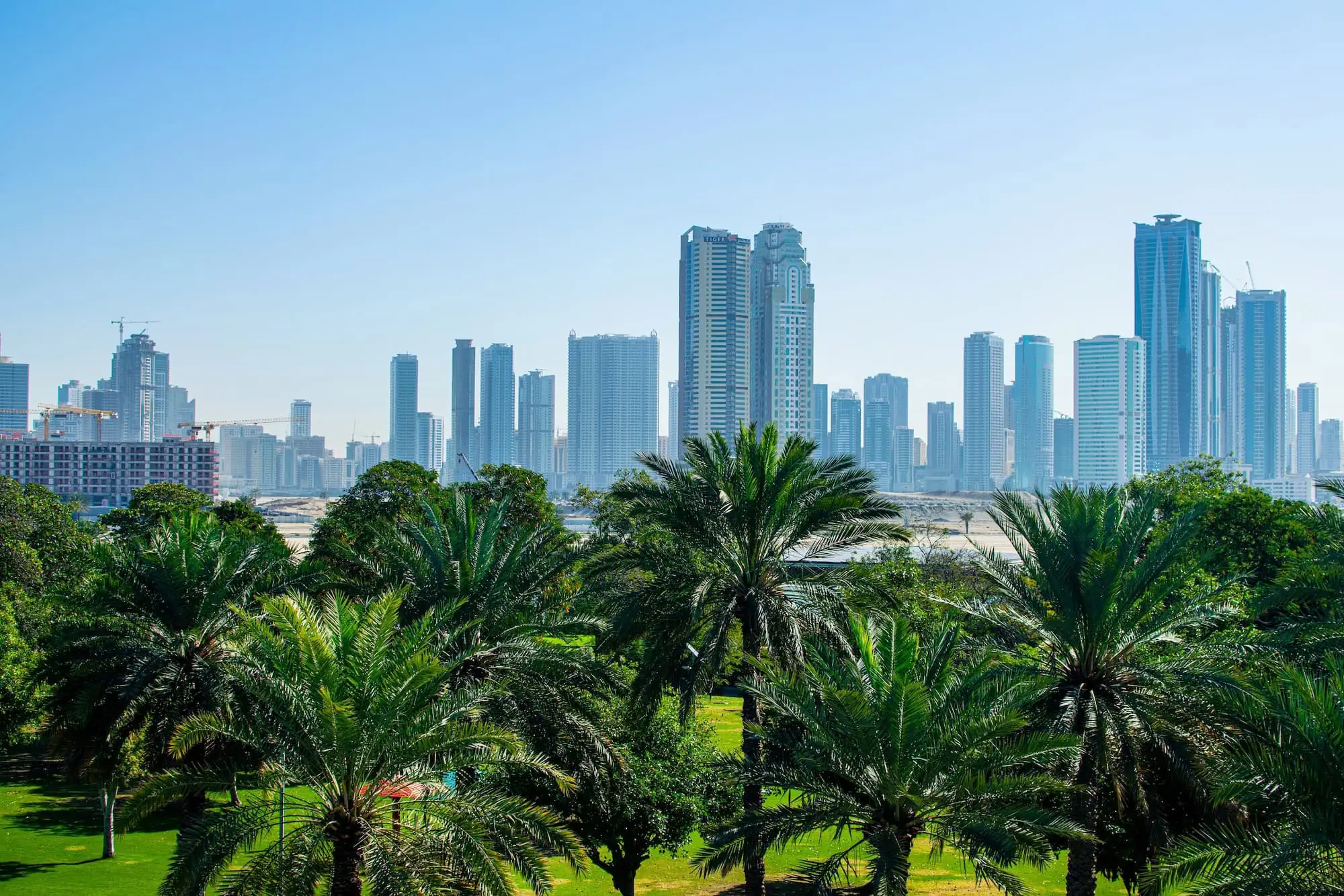 Al Mamzar Beach Park with lush greenery, palm trees, and Sharjah skyline in background