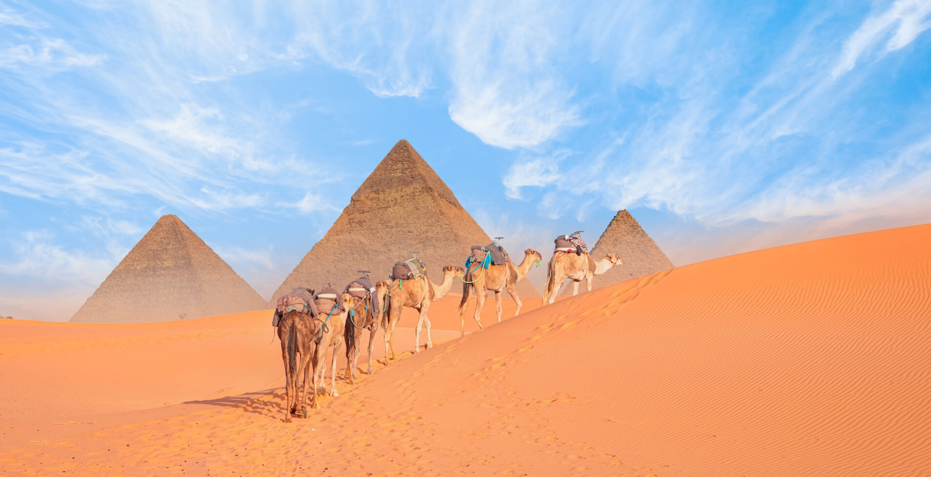 Camel Ride at the Giza Pyramids