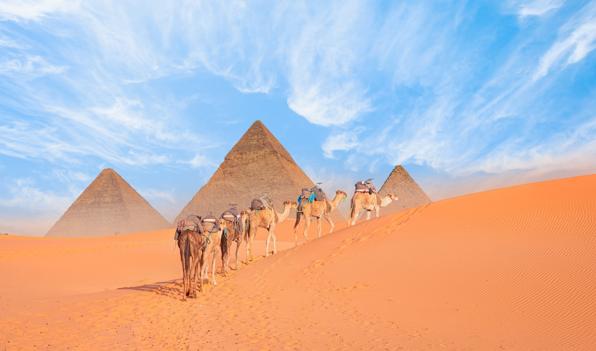 Camel Ride at the Giza Pyramids