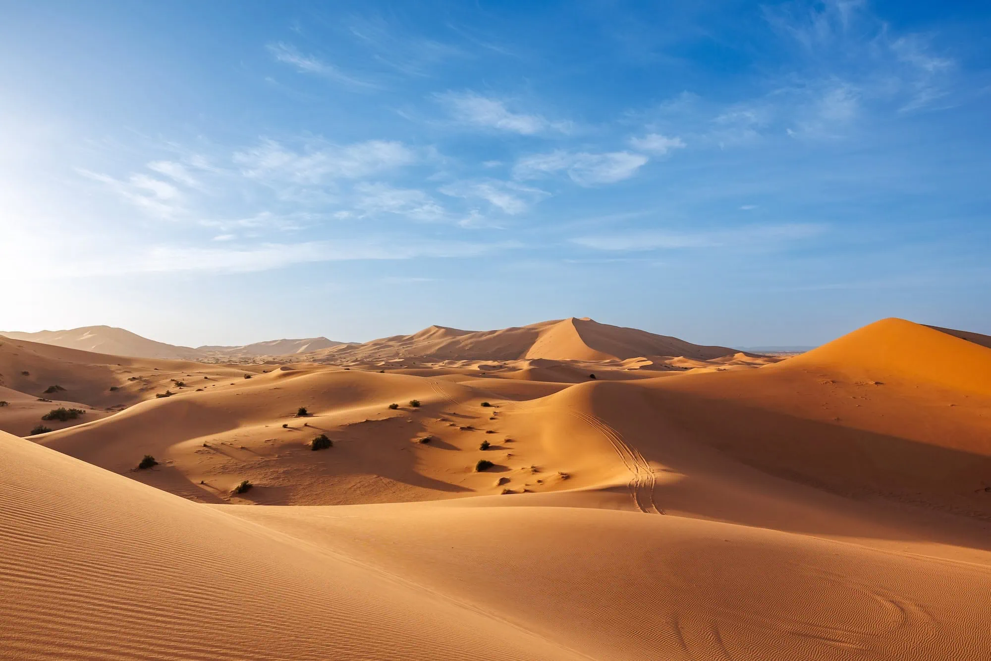 Sandboarding in Egypt – The Most Fun Desert Thrill