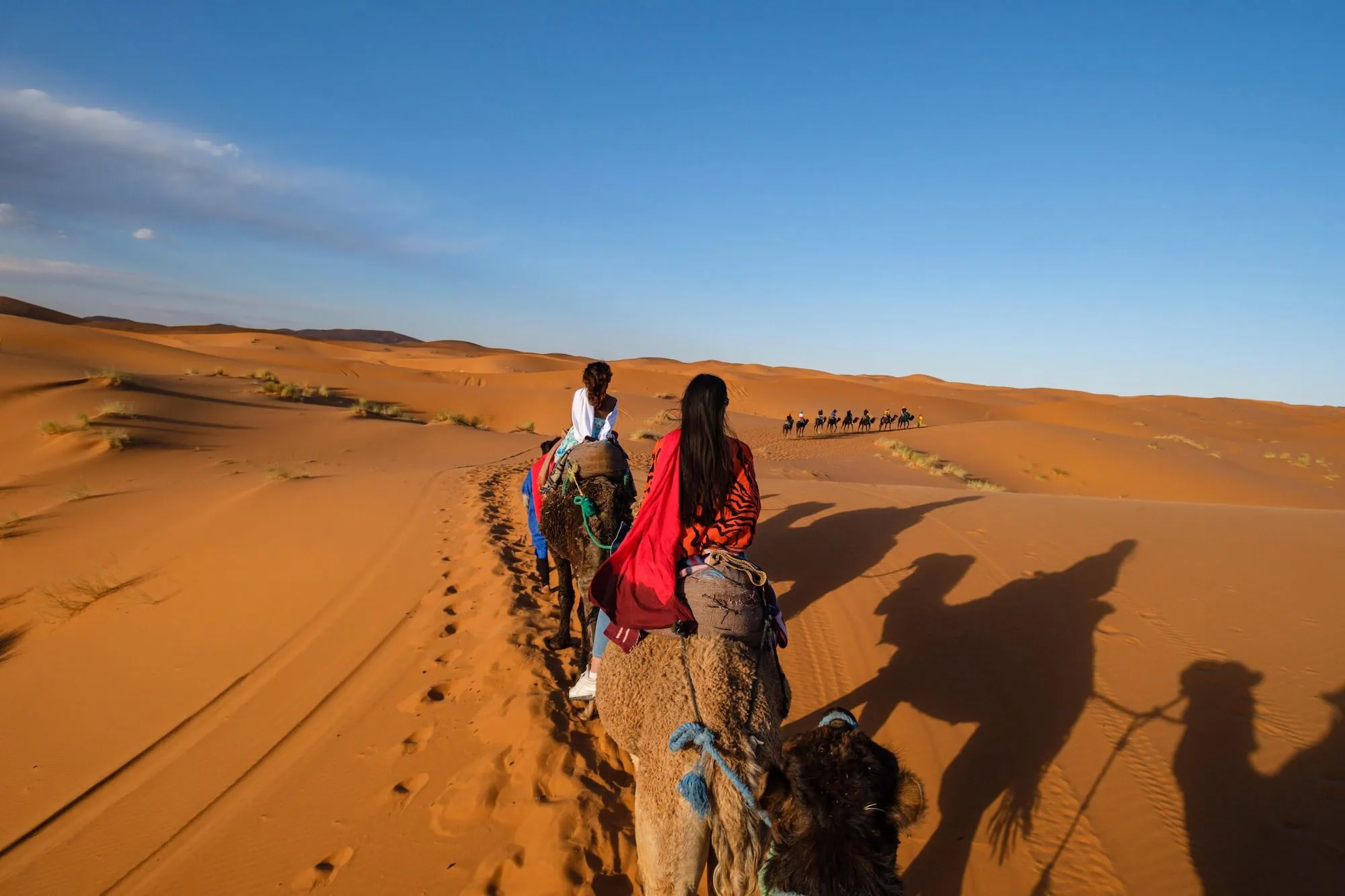 Tourist camel caravan crossing orange sand dunes in Sahara desert