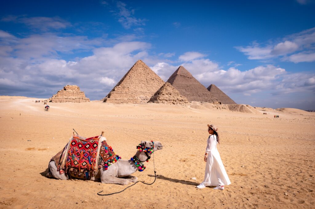 woman stand and see the Camel sitting and resting after walk across a desert at the great pyramids of Giza Cairo Egypt