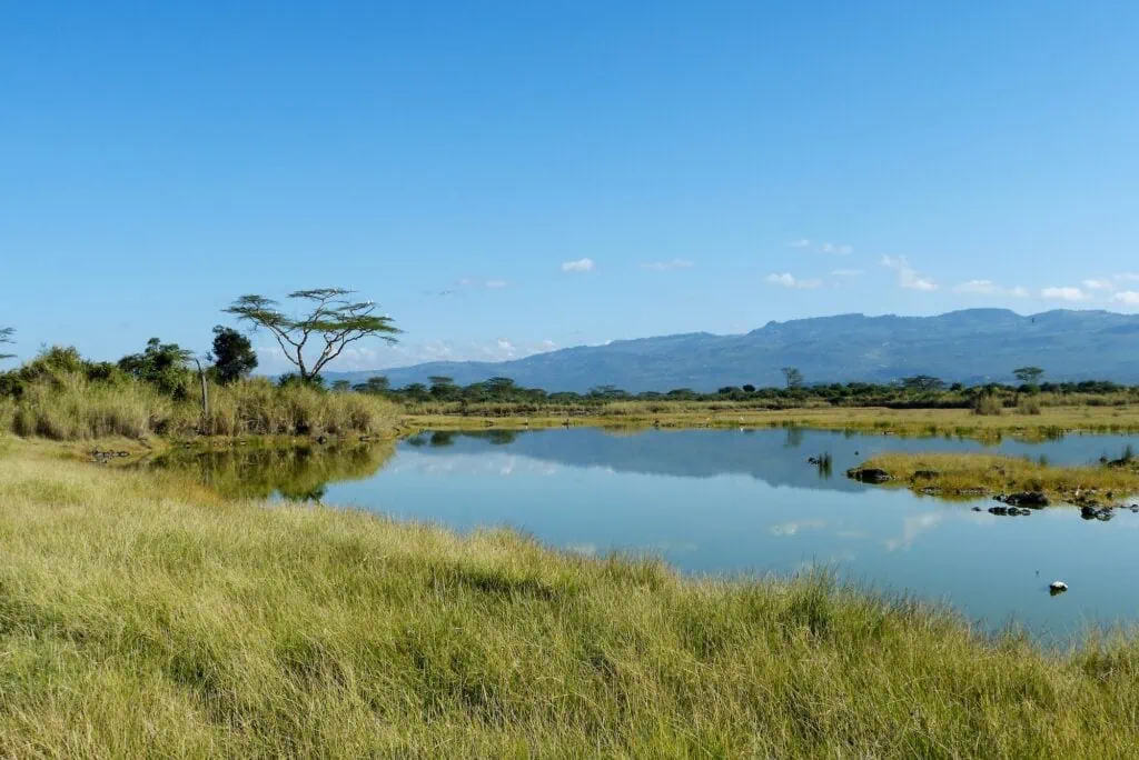 View across Lake Elementaita and the surrounding savannah plains in Soysambu Conservancy, Kenya — alkaline Rift Valley lake protected as part of the Kenya Lake System UNESCO World Heritage Site, with volcanic hills and acacia woodland visible in the background