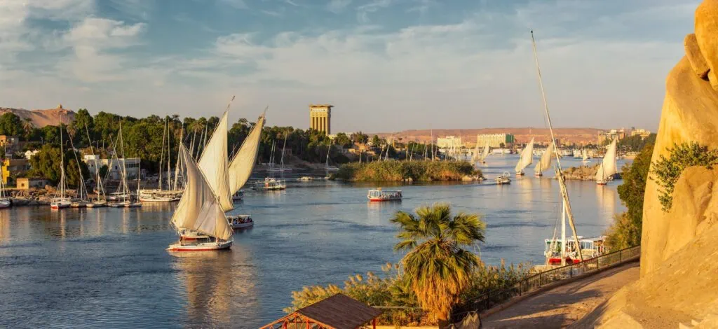 Multiple traditional Egyptian felucca sailboats on the Nile River near Aswan at sunset, with their lateen sails silhouetted against the orange and pink sky and Elephantine Island visible behind.