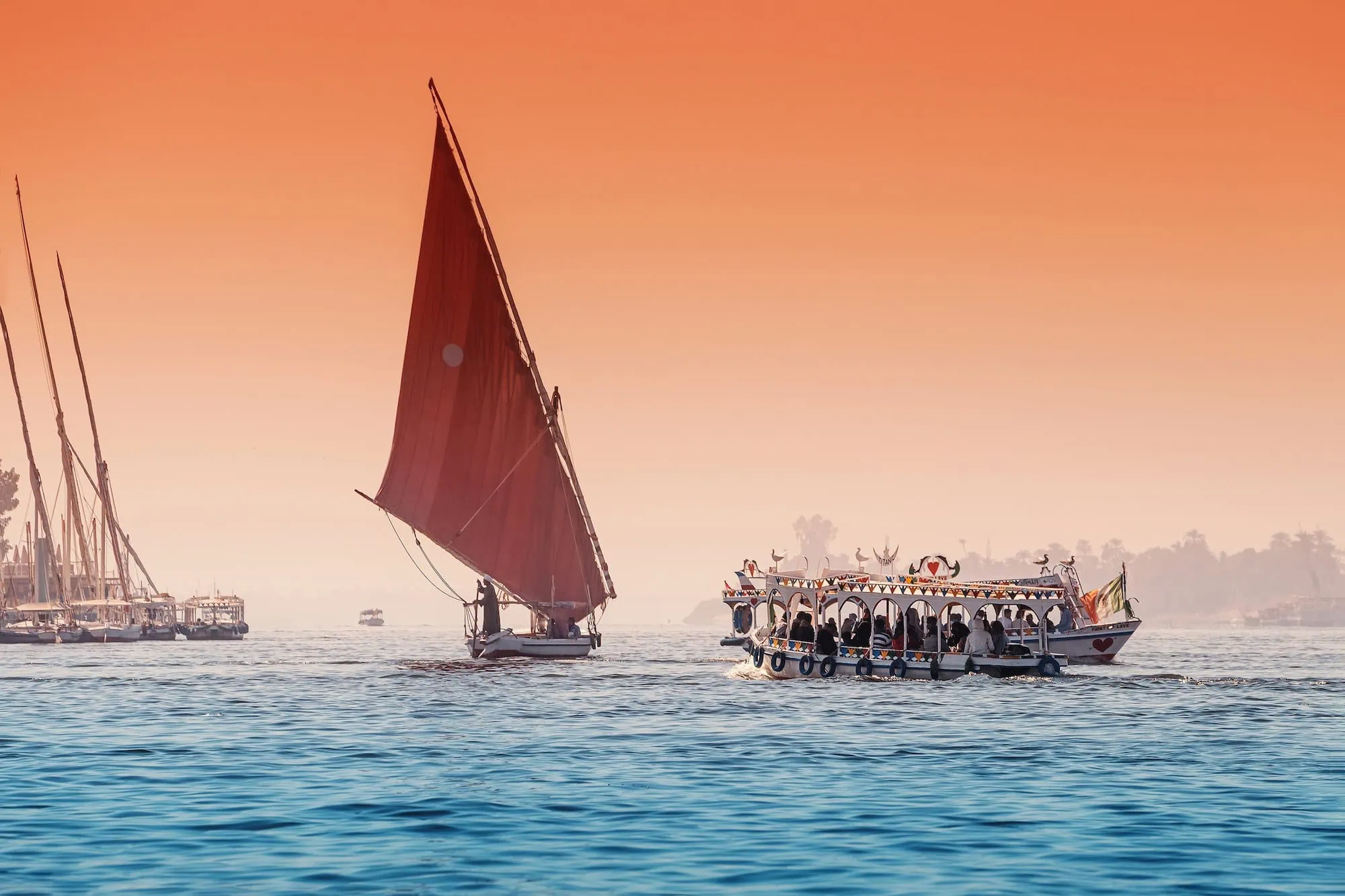 Traditional felucca sailboats on the Nile River with buildings and hotels along the riverbank