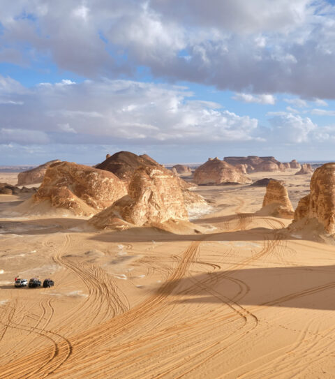 Western Desert