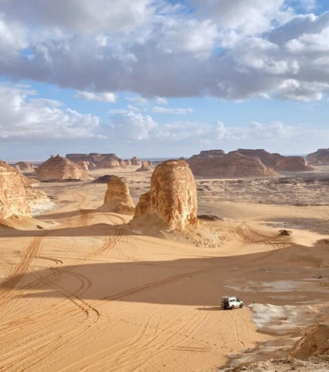 White Desert
